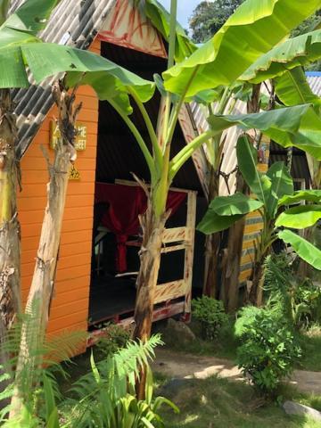 Beach Shack Chalet - Garden View Aframe Big Unit Kampong Juara 외부 사진